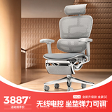 Ergonor保友金豪SE 顶奢旗舰人体工学椅超强撑腰护臀 家用办公老板座椅子 银白(云感科技坐垫)+躺舒宝 整椅发货 送货上门
