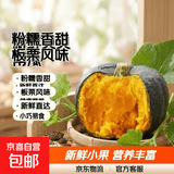 京喜加百万复购贝贝南瓜板栗味小南瓜正宗新鲜粉糯香甜单果100g起 贝贝南瓜 500g 小果