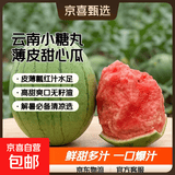 正宗全美小糖丸2k西瓜薄皮小糖丸西瓜新鲜水果 5-6斤（发2-3个瓜）