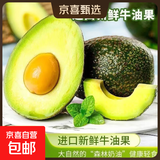 牛油果进口尝鲜多个装宝宝辅食装新鲜包邮 单果重70g+ 190g+ 6个装 单果重70-100g