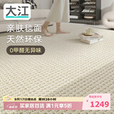 大江进口羊毛地毯客厅现代简约素色轻奢高级感沙发地毯200x300cm