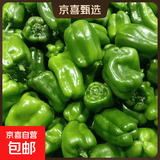 现摘新鲜绿菜椒圆椒青椒‘灯笼椒 河北圆椒带箱1斤净重0.9斤