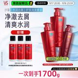 沙宣洗发水水润去屑500g*2+修护水养400g护发素洗护套装去屑去油柔顺