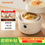 九阳（Joyoung）电炖锅炖盅 快炖隔水炖锅多功能锅婴儿宝宝辅食锅bb煲汤锅 燕窝炖盅 炖汤锅蒸锅 一锅三胆 GD187