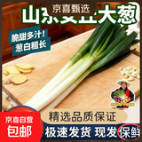 农家自种山东安丘大葱新鲜白杆葱绿葱带皮去皮去半叶生鲜超市批发 带皮去半叶净重9斤