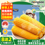 东北农嫂糯玉米穗 糯玉米段 软糯香 吉林原产 真空玉米 低脂粗粮 【26年头茬】黄糯玉米10根(买8根送2根约5斤)
