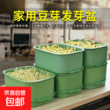 豆芽盆发芽神器家用育苗盘种植盆发芽盆豆芽发芽神器黄豆芽育苗器 豆芽盆1套