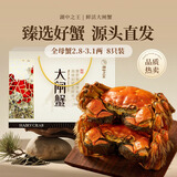 【活蟹】湖中之王鲜活大闸蟹现货 全母蟹2.8-3.1两8只装螃蟹礼盒中秋生鲜礼品源头直发