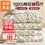 无印良品A类100%新疆纯棉花被子 冬季棉被春秋被芯空调被 6斤200*230cm