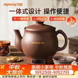 九阳（Joyoung）煎药壶 中药壶中药锅熬药罐 3L大容量一体式全自动陶瓷电砂锅智能家用养生壶炖药煲电药壶GD111