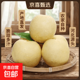 京喜加赵州皇冠梨河北皇冠梨产地直发 皇冠梨精品净重9斤