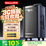 新科 （Shinco）T30广场舞音响户外大音量拉杆蓝牙音箱三喇叭重低音木质箱体家用K歌移动摆摊 15吋双咪