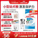皇家狗粮 幼犬狗粮 幼犬奶糕宠物小型犬MIJ31全价犬粮2-10月800g