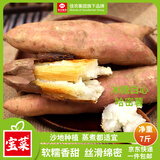 佳农宝菜鹤壁哈密白薯单果100g+白心红薯净重7斤地瓜源头直发