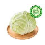 【安心菜】供港基地面包甘蓝500g