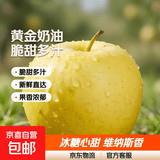 山东烟台黄金奶油富士苹果脆甜冰糖心很像维纳斯苹果 带箱9.5斤75果