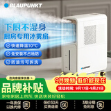 蓝宝（BLAUPUNKT）【厨房降温】冰雾扇电风扇家用空调扇加湿水冷风扇冷风机小空调扇无需冰晶 节能低噪可拆洗 X5