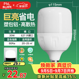 佛山照明大功率LED灯泡30W节能灯具E27螺口6500K白光柱形