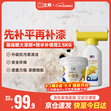 立邦墙面修复补墙膏补墙漆防水防霉抗菌堵洞腻子膏白色 500g+2.5kg