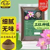 寿禾 荷塘泥碗莲土水培植物专用营养土 潍丰荷塘泥800g