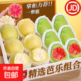 新鲜正宗广东产地直采红心白心芭乐双拼软糯香甜水果单果100g+ （带箱5斤）白心