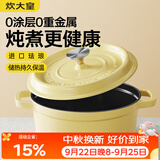 炊大皇珐琅锅铸铁锅家用炖锅砂锅汤锅焖烧锅电磁炉燃气煮锅22cm