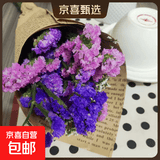 3.18节勿忘我鲜切花真花客厅餐桌插花摆件送人礼物 勿忘我1束（2-5个颜色）约200g新手福利