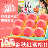 京地达桃子江苏金秋红蜜礼盒净重8.8斤单果250g水蜜桃新鲜水果源头直发