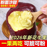 于小乖甘肃天水花牛粉面苹果婴儿刮泥老人粉糯蛇苹果(需放置粉面) 带箱3斤小果（净重2.5斤左右需放置粉糯）