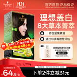 施华蔻（Schwarzkopf）怡然精油染发霜500琉璃浅棕 染发膏男女盖白发精油呵护
