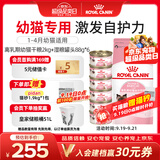 皇家猫粮 离乳期幼猫粮干湿套装BK34 2KG+幼猫湿粮罐头BMC 88g*6