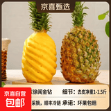 【精选好果】广东徐闻菠萝新鲜水果生鲜香水菠萝金钻百果园特产 【特惠1个装】 净重1-1.5斤