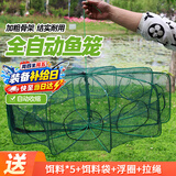 神鲨12孔直径60鱼网虾笼捕鱼笼自动折叠不出只进渔网地龙网黄鳝笼渔具