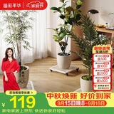 溢彩年华花架客厅阳台置物架多层花盆架方形植物多肉盆栽移动花托架5316