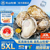 乳山牡蛎鲜活乳山生蚝5XL 净重5斤 9-10只 生鲜海鲜 送礼 源头直发