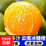 【新鲜上市】云南高山冰糖橙热卖核心产区产地直发 带箱8斤60mm