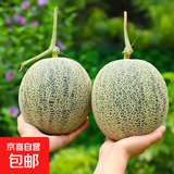 海南网纹沙地京东整箱蜜瓜玫珑新鲜现摘水果冰淇淋包邮 净重1.3-2斤1个装