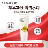 菲诗小铺（THE FACE SHOP）草本芦荟洗面奶170g清洁补水大容量洗脸七夕情人节礼物送女友 柠檬170g-清爽控油