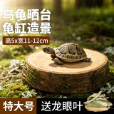 龟真寿龙眼木 特大号  乌龟晒台爬台休息台养龟龟缸造景龙眼树桩