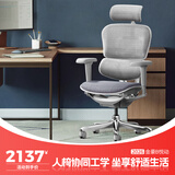 Ergonor保友金豪b雄鹰/悦动 人体工学椅电脑椅 电竞椅办公椅子可躺老板椅 银白(云感科技坐垫)
