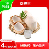 京鲜生海南国产椰青 4粒装 900g/个 生鲜水果 源头直发
