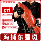 云储生活东星斑深海石斑鱼特大鲜活冷冻鱼类生鲜净重2.6-3斤 源头直发包邮