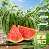京鲜生小西瓜 1粒装 单果4-5斤 果王 生鲜水果 源头直发包邮