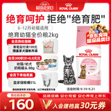 皇家猫粮 绝育幼猫粮 KS34 通用粮 6-12月 2KG