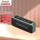 万利达（Malata）收音机老年人便携式音响迷你播放器可FM调频校园广播 16瓦便携蓝牙低音炮 | A96绿色