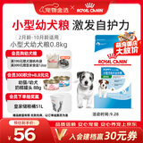 皇家狗粮 幼犬狗粮 幼犬奶糕宠物小型犬MIJ31全价犬粮2-10月800g