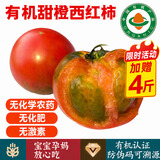 【顺丰】有机虎眼西红柿 云南高原甜橙柿子 新鲜健康有机蔬菜 6斤 【活动加送4斤，发10斤】