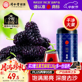 同仁堂品牌北京同仁堂黑桑葚干桑椹干果500g养生搭枸杞泡水非即食中药材