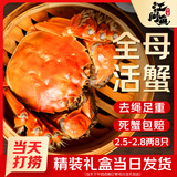 【活蟹】江问鱼 大闸蟹全母2.5两-2.8两 8只装 鲜活螃蟹生鲜礼盒送礼优选去绳足重