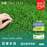 北蔬 高档草坪种子护坡草籽矮生南北方庭院绿化 百草丰茂草坪种子1斤
